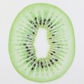 Tablou decorativ Kiwi, Creaciones Meng, 30x40 cm, canvas/MDF/polistiren