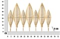 Cuier de perete Long Leaf, Mauro Ferretti, 65x42.5 cm, fier, auriu