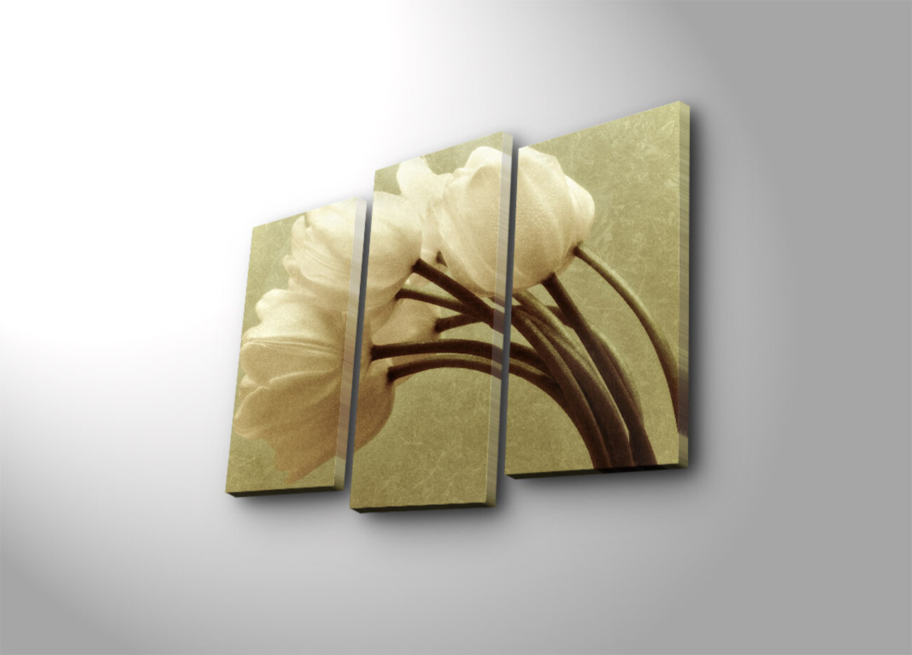 Set 3 tablouri decorative, 3PATK-1, 20 x 39 cm, 2 piese, Multicolor - view 2