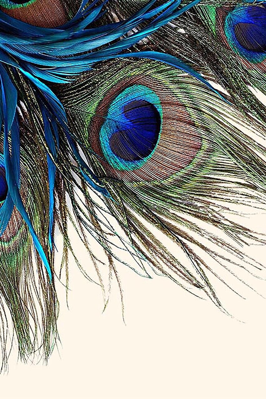 Covor, Hmnt568, 140x220 cm, Multicolor - Imagine 2