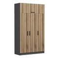 Dulap pentru haine, Minerva, Minar 235, 135x235x52 cm, PAL, Dore / Antracit