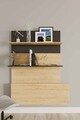 Birou, Elegance, Pooh, Stejar safir / negru
