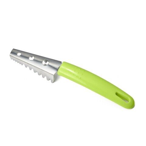 Curatator pentru peste, Vanora, inox, verde mezoni.ro