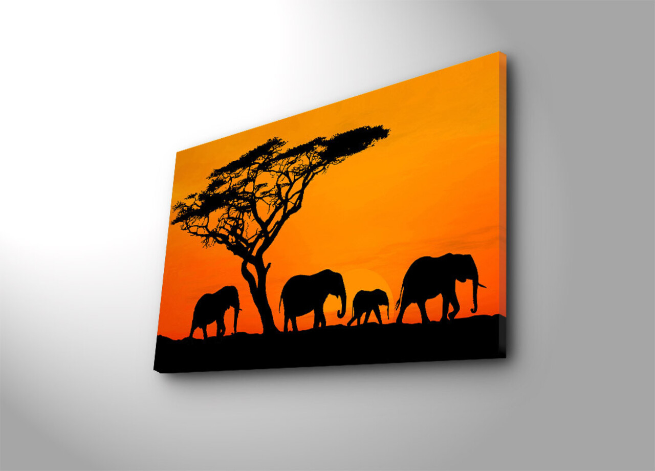 Tablou decorativ cu lumina LED, 4570İACT-53, Dimensiune: 45 x 70 cm, Multicolor - view 2