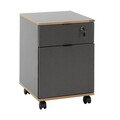 Dulap multifunctional, Adore, Rkm-311-Ax-1, Antracit / Stejar