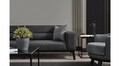 Canapea extensibila cu 3 locuri, Artie, 560ARE2902, Lemn de fag / PAL, Antracit
