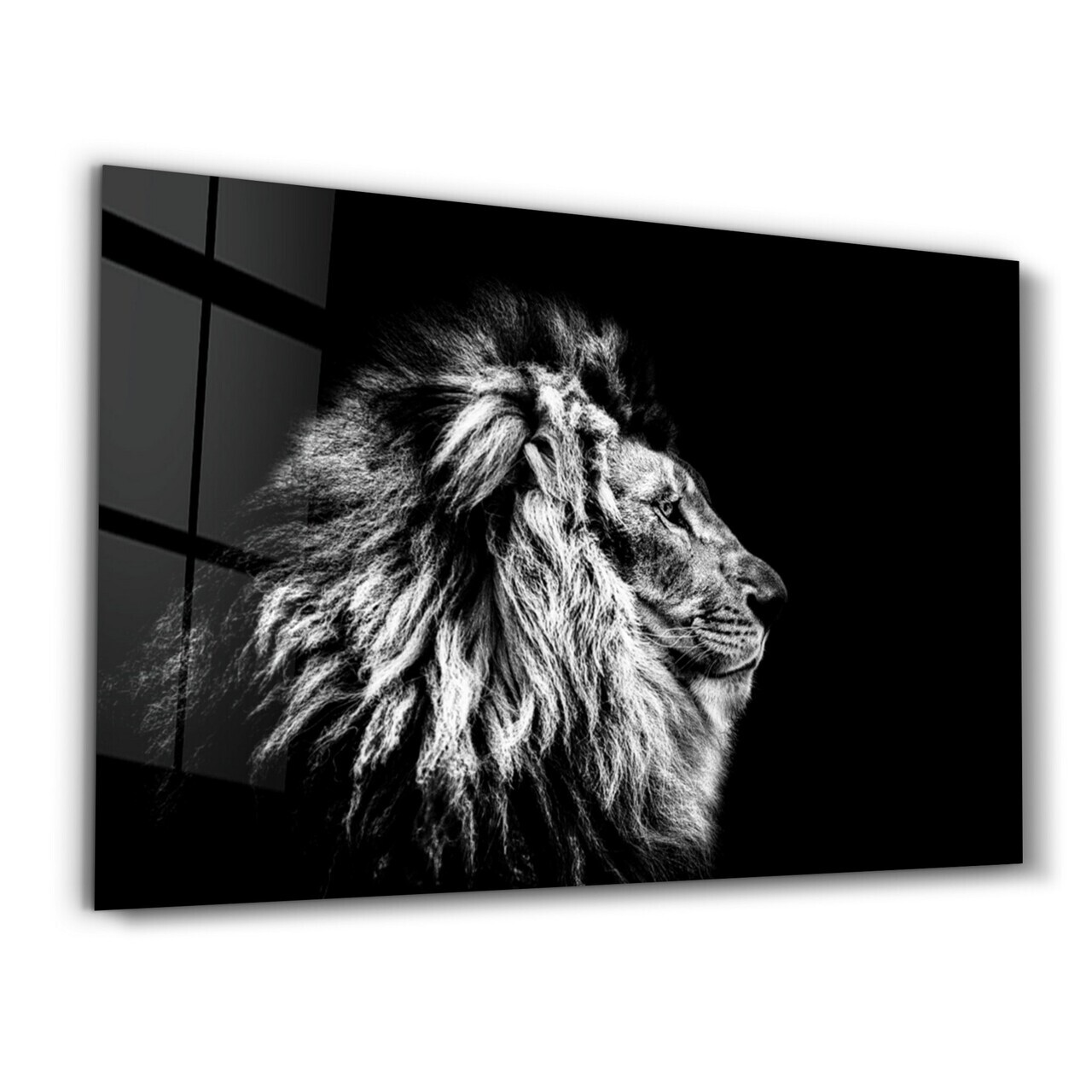 Tablou decorativ, OGLS-2028, Dimensiuni: 46 x 72 cm, Multicolor — imaginea 5