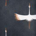 Lenjerie de pat Devika, Homla, 200x220 cm, bumbac satinat, grafit/alb