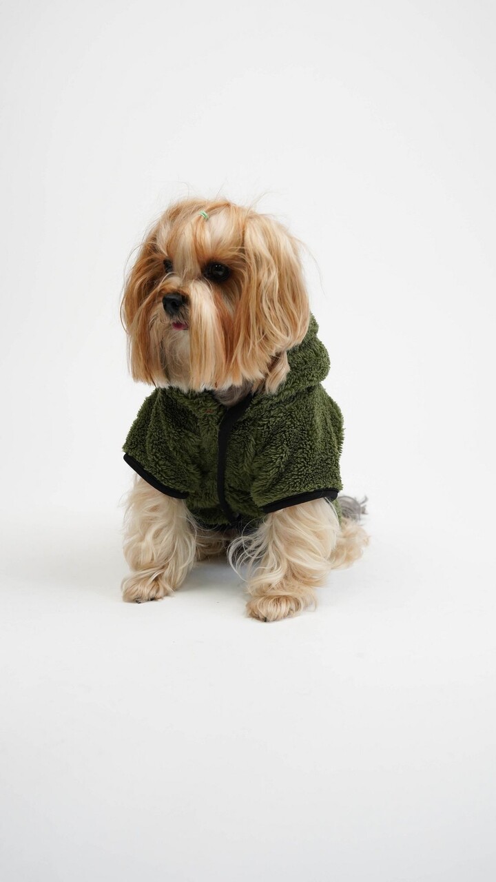 Hanorac pentru câini, Paws &amp; Whiskers, Froggy Welsoft Jacket, Verde - view 3