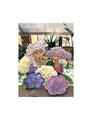 Platou decorativ, Flora Pink, Brandani, D26x8 cm, rasina