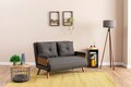 Canapea extensibilă cu 2 locuri, Futon, 859FTN2724, Metal , Gri inchis