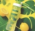 Sticla cu filtru detasabil, Snips, Mint&Lemon, 0.75 L, tritan