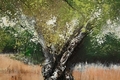 Tablou decorativ Olive Oil Painting -H, Mauro Ferretti, 120x80 cm, canvas/lemn de pin, multicolor