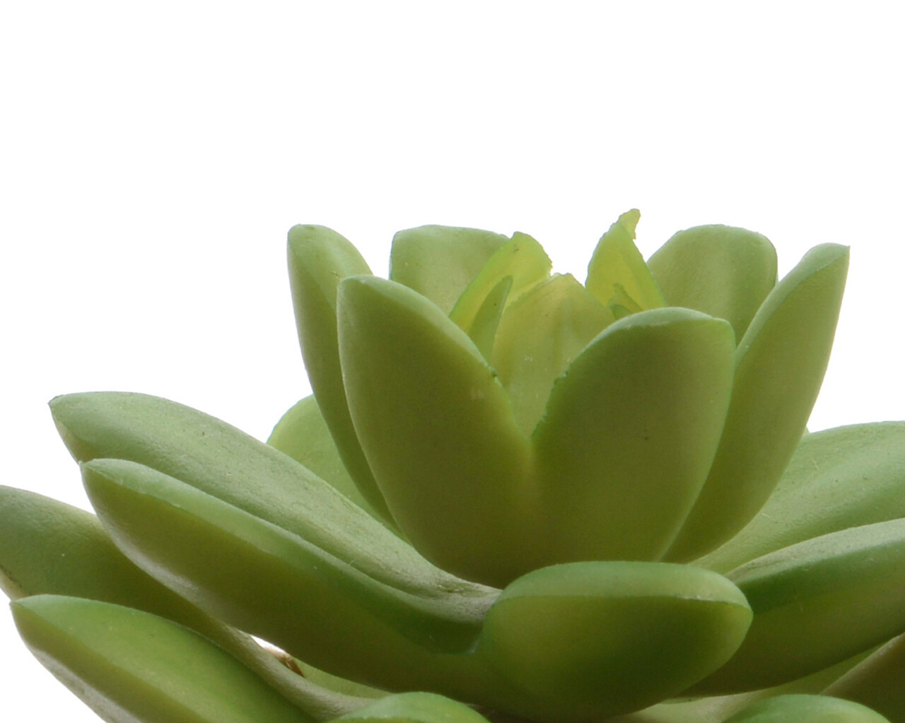 Floare artificiala in ghiveci Succulent v2, Decoris, 5 x 5 x 12 cm, plastic/iuta, verde