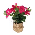 Floare artificiala Hibiscus, 20x20x35 cm, polipropilena, fucsia