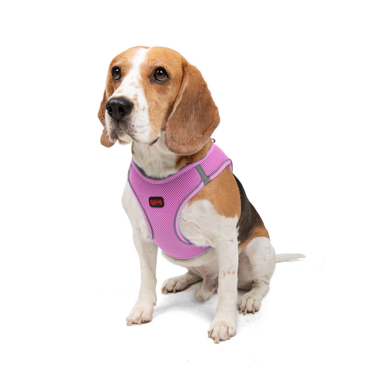 Ham pentru câini, Paws &amp; Whiskers, Air-Mesh, Poliester, Lila - view 3