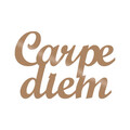 Decoratiune de perete, Carpediem 1, Metal, Dimensiune: 50 x 38 cm, Cupru