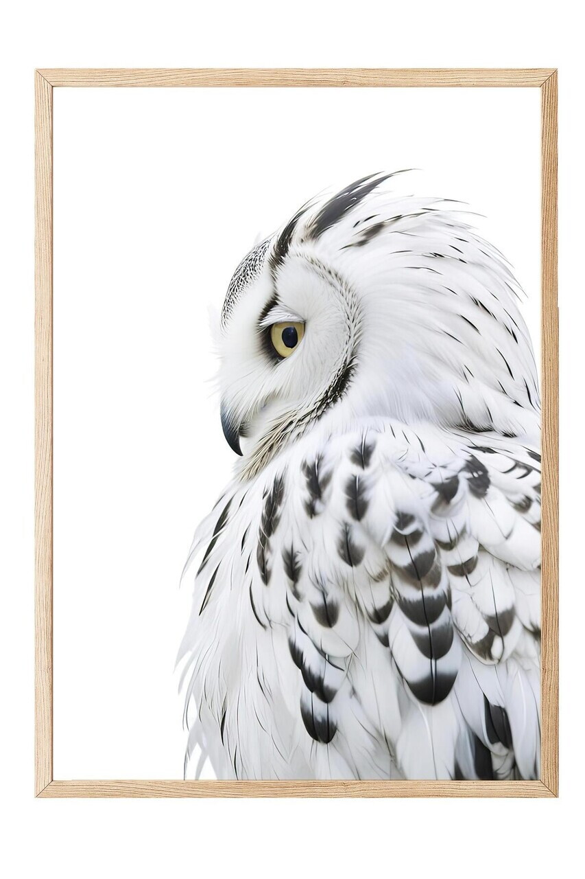 Tablou decorativ, 108301, Lemn masiv, Sticla PVC, Multicolor - view 2