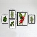 Set 5 tablouri decorative, SET_068, Lulu, 24x29 cm/34x44 cm, plastic