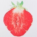 Tablou decorativ Strawberry, Creaciones Meng, 30x40 cm, canvas/MDF/polistiren