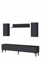 Comoda TV, Hanah Home, Didema 180, 180x40.5x30 cm, Antracit