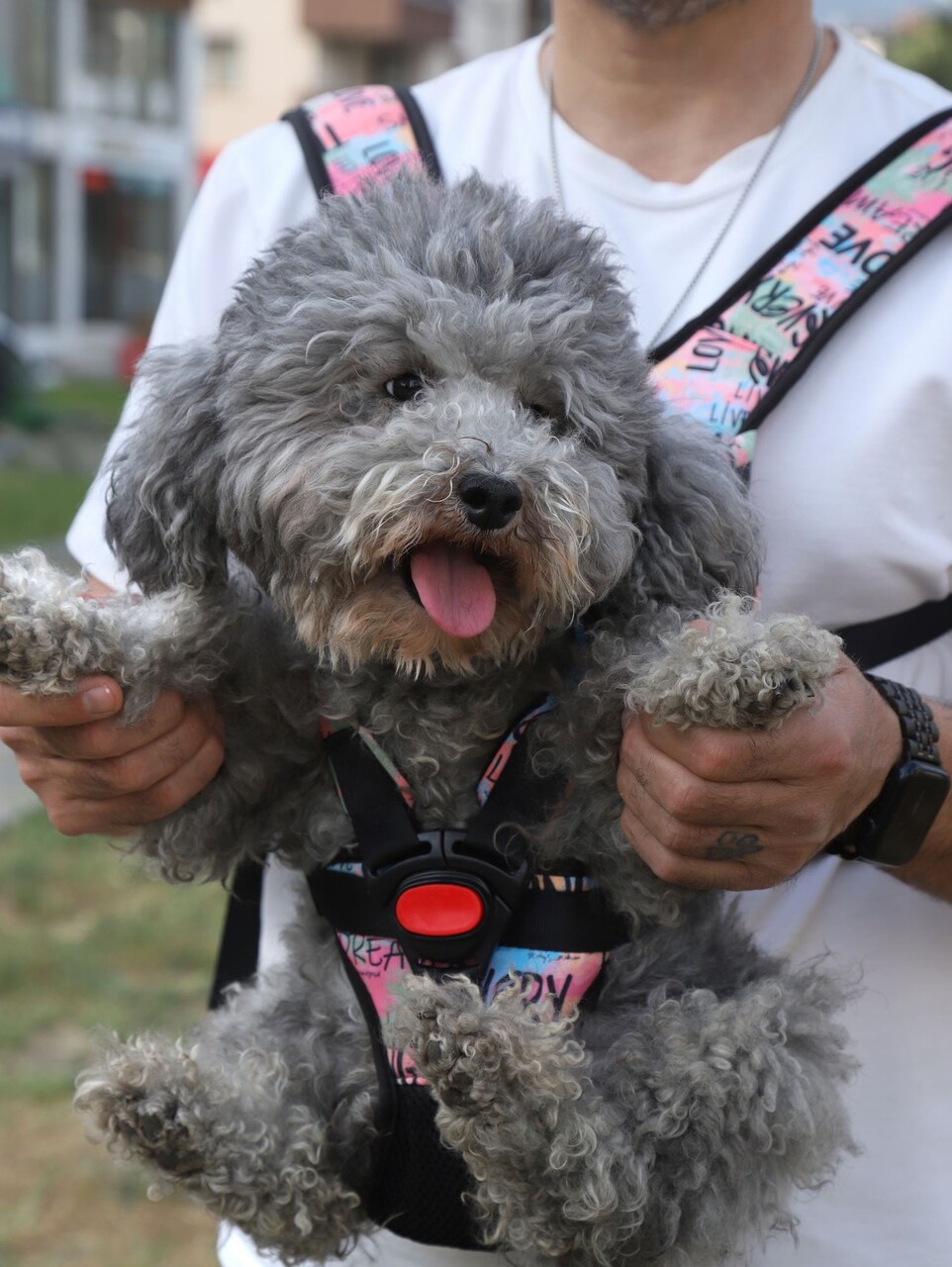 Transportor frontal pentru câini, Paws &amp; Whiskers, Premium, Roz - imagine 3