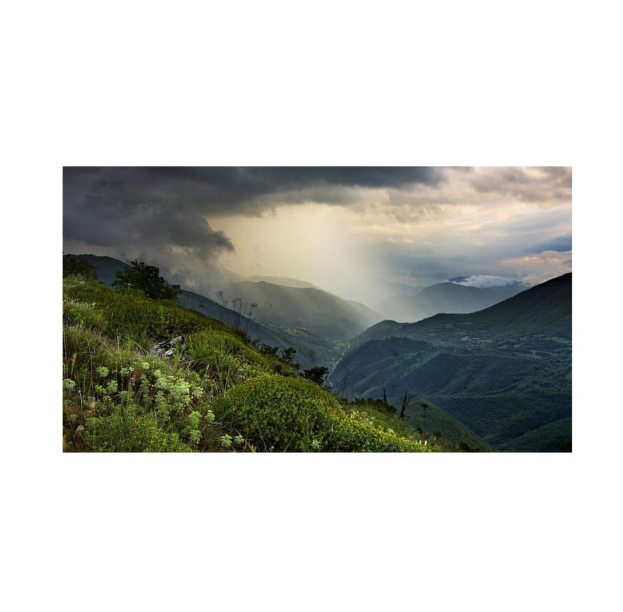 Rezerva odorizant camera,Mountain Rain, 250 ml, Spring Air