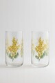 Set pahare, Hermia, 127RKL1640, Transparent