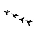 Decoratiune de perete, Birds, Metal, 20 x 13 cm, Negru
