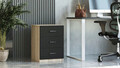 Dulapior, Locelso, Vario C, 44.5x61.8x46.6 cm, Stejar / Negru