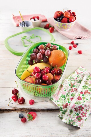 Recipient depozitare fructe pentru pastrarea aromei, Snips, Aroma Keeper, 4 L, polipropilena, verde