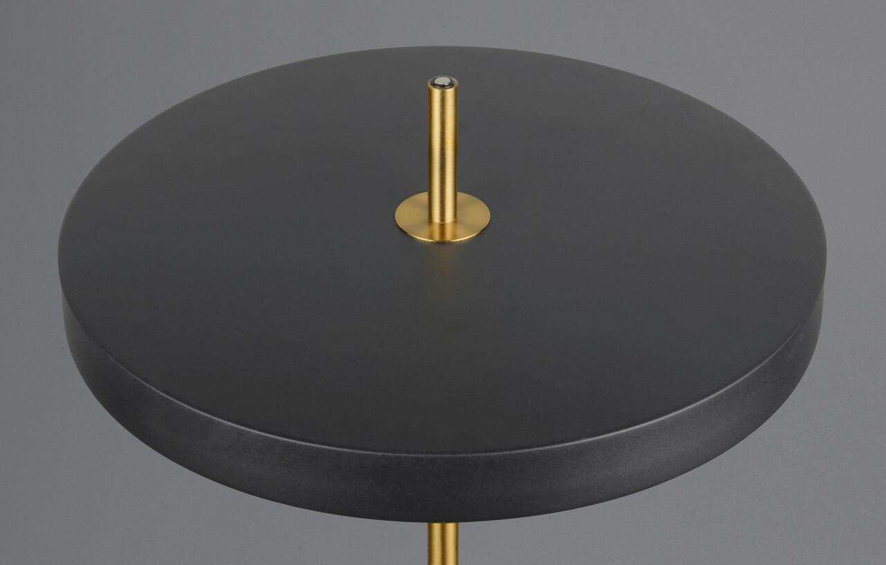 Lampadar Keaton, TRIO, 40x138 cm, 21W, 1x SMD, metal, negru/auriu