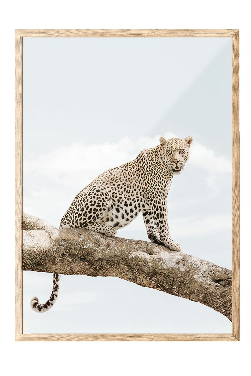 Tablou decorativ, 108465, Lemn masiv, Sticla PVC, Multicolor - view 2