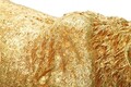 Figurina /sculptura decorativa Leopard Shant, Mauro Ferretti, 89x21x33 cm, polirasina, auriu