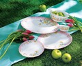 Serviciu de masa 38 piese, Luminarc, Elise, opal