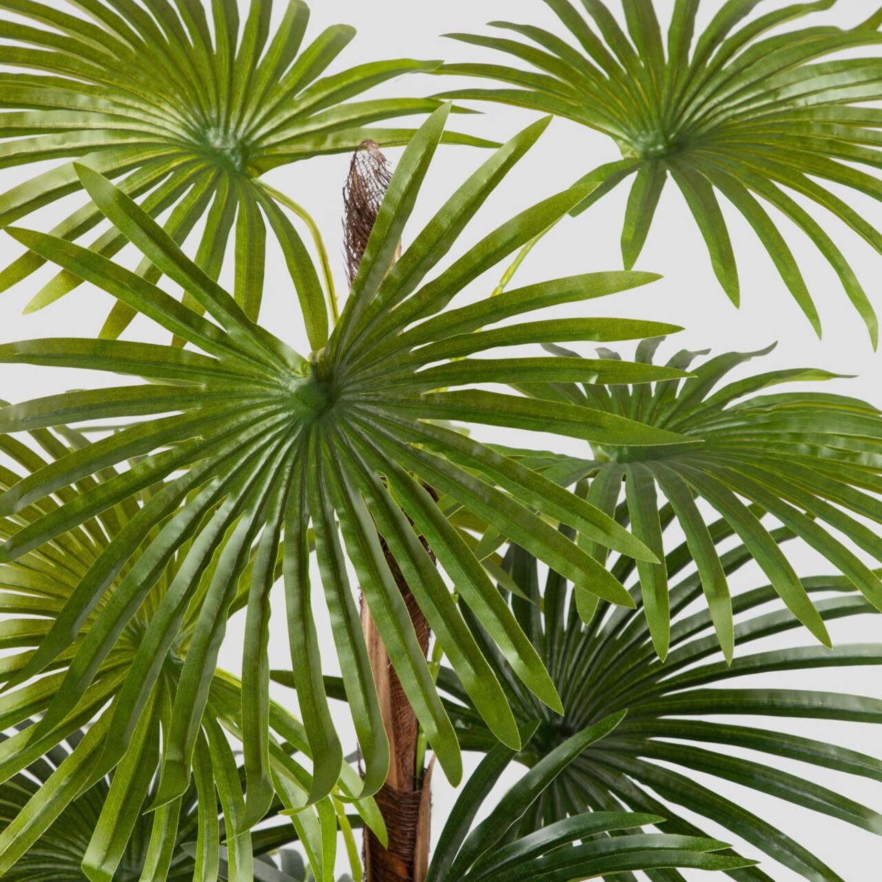 Planta artificiala palmier Tropical Zone, Homla, 150 cm, plastic, verde - view 2