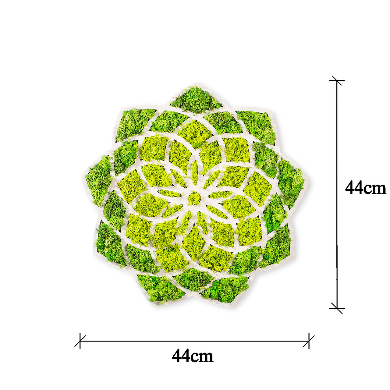 Decoratiune de perete, Daisy, Dimensiuni: 44 x 1,6 x 44 cm, Verde/Alb - view 6