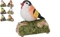 Decoratiune cu sunet Bird, 13.5x7x13 cm, polistone