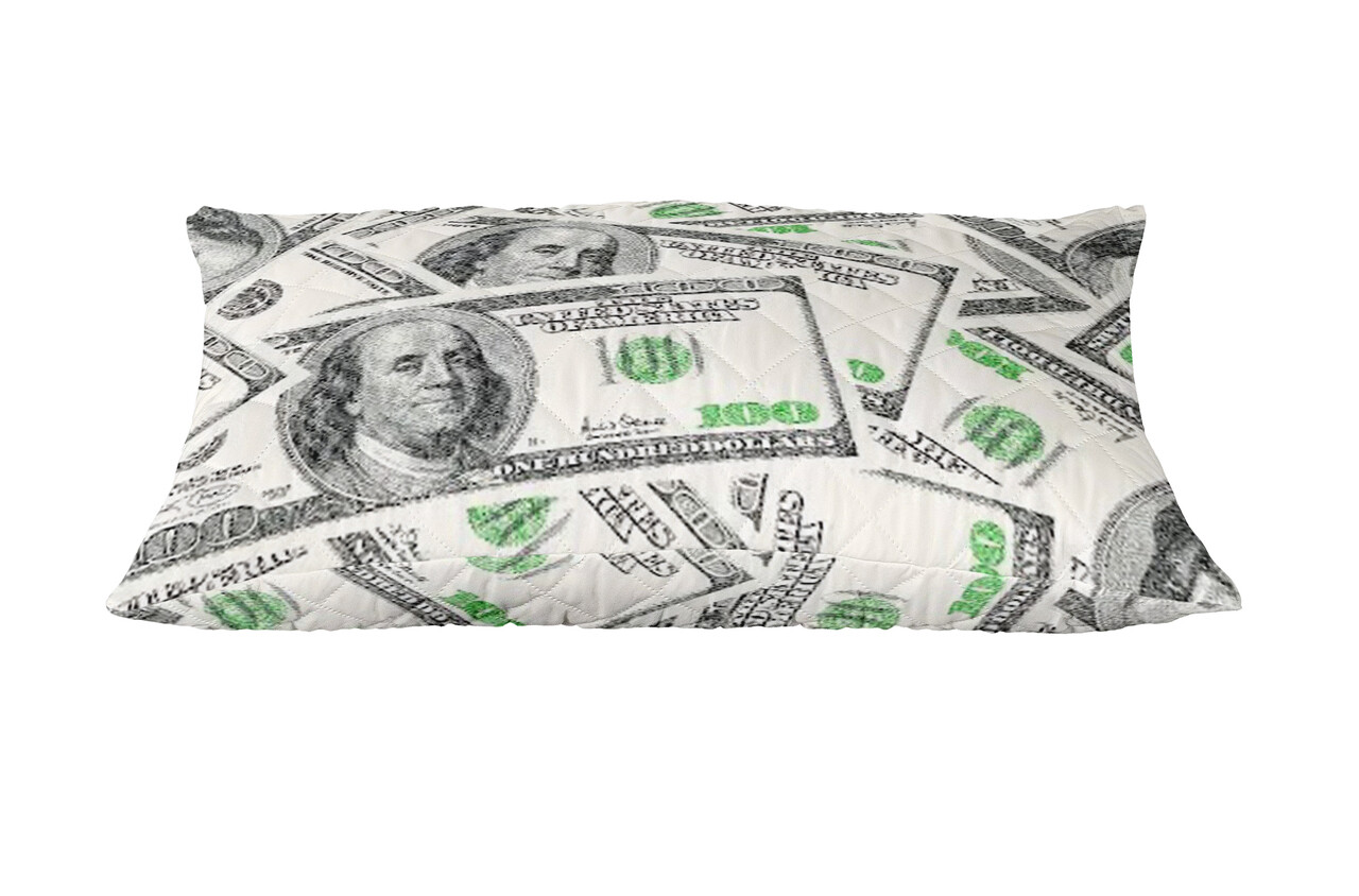 Perna Dollar Dream, microfibra matlasata Alcam, 50x70 cm - imagine 3