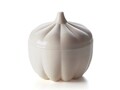 Recipient cu agatatoare pentru depozitat usturoi in frigider, Garlic, Excelsa, 7x8 cm