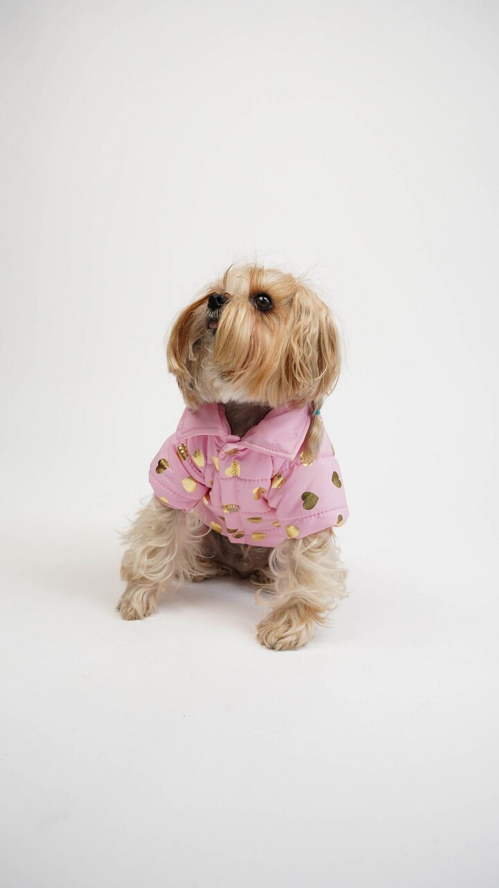 Hanorac pentru câini, Paws &amp; Whiskers, Amour Coat, Roz - view 3