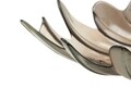 Bol decorativ, Leaf Light Brown, Mauro Ferretti, 46x24x13 cm, sticla reciclata