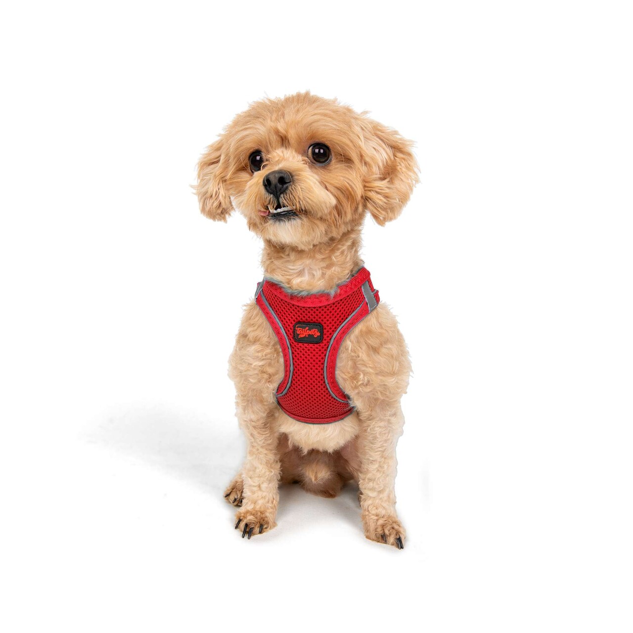 Ham pentru câini, Paws &amp; Whiskers, Air-Mesh, Granat - imagine 4