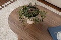Masuta de cafea, Nordure, Sable, Maro