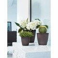 Ghiveci Rattan 24 cm, crem