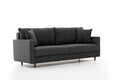 Canapea 3 locuri, Atelier del Sofa, 613LFS1190, Antracit