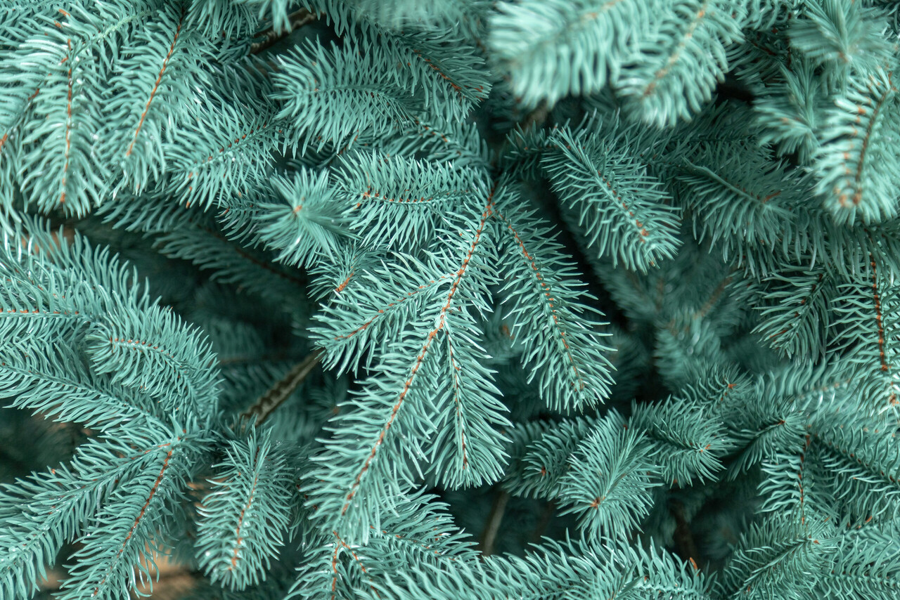 Brad artificial Christmas Deluxe by Sersimo, Kovalivka Select argintiu, integral 3D, 210 cm — imaginea 18