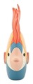 Figurina decorativa Fish Rubic, Mauro Ferretti, 28x8x25 cm, polirasina, multicolor