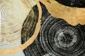 Tablou decorativ Woody, Mauro Ferretti, 60x90 cm, sticla, multicolor