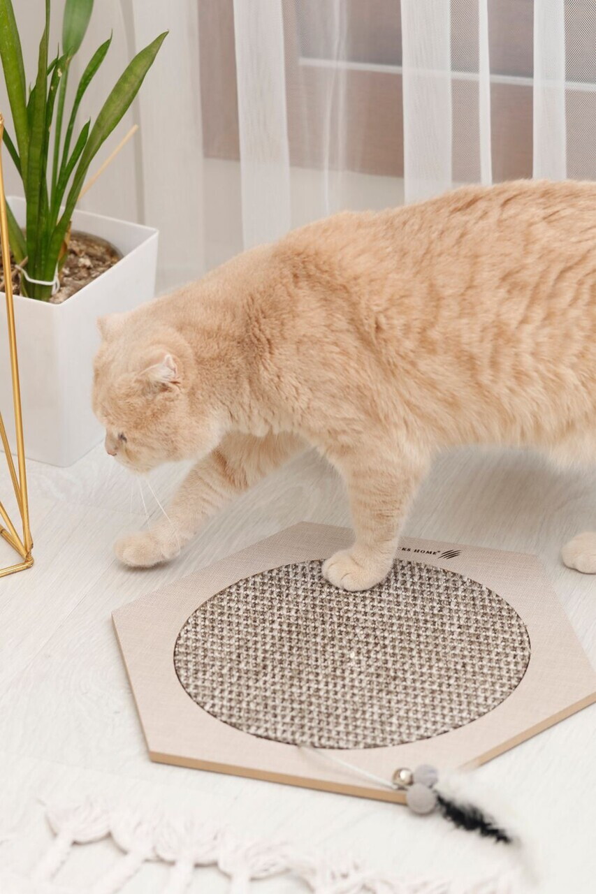 Covoras de zgariat pentru pisici, Paws &amp; Whiskers, Altıgen, MDF, Gri - 2